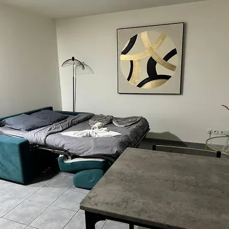 Apartamento M12 - Marquer - Joli Studio Central Avec Garage Annemasse